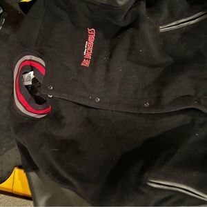 Disney Pixar adult Incredibles